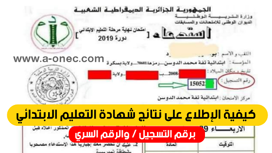 كيفية الحصول على نتائج شهادة التعليم الابتدائي 2021 برقم التسجيل المباشر عبر موقع الديوان الوطني لاستظهار نتائج السانكيام 2021