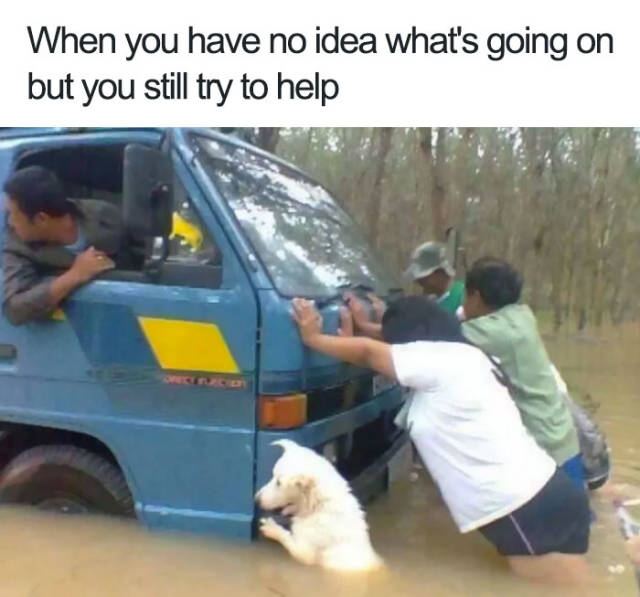 When you have no idea what's going on but you still try to help