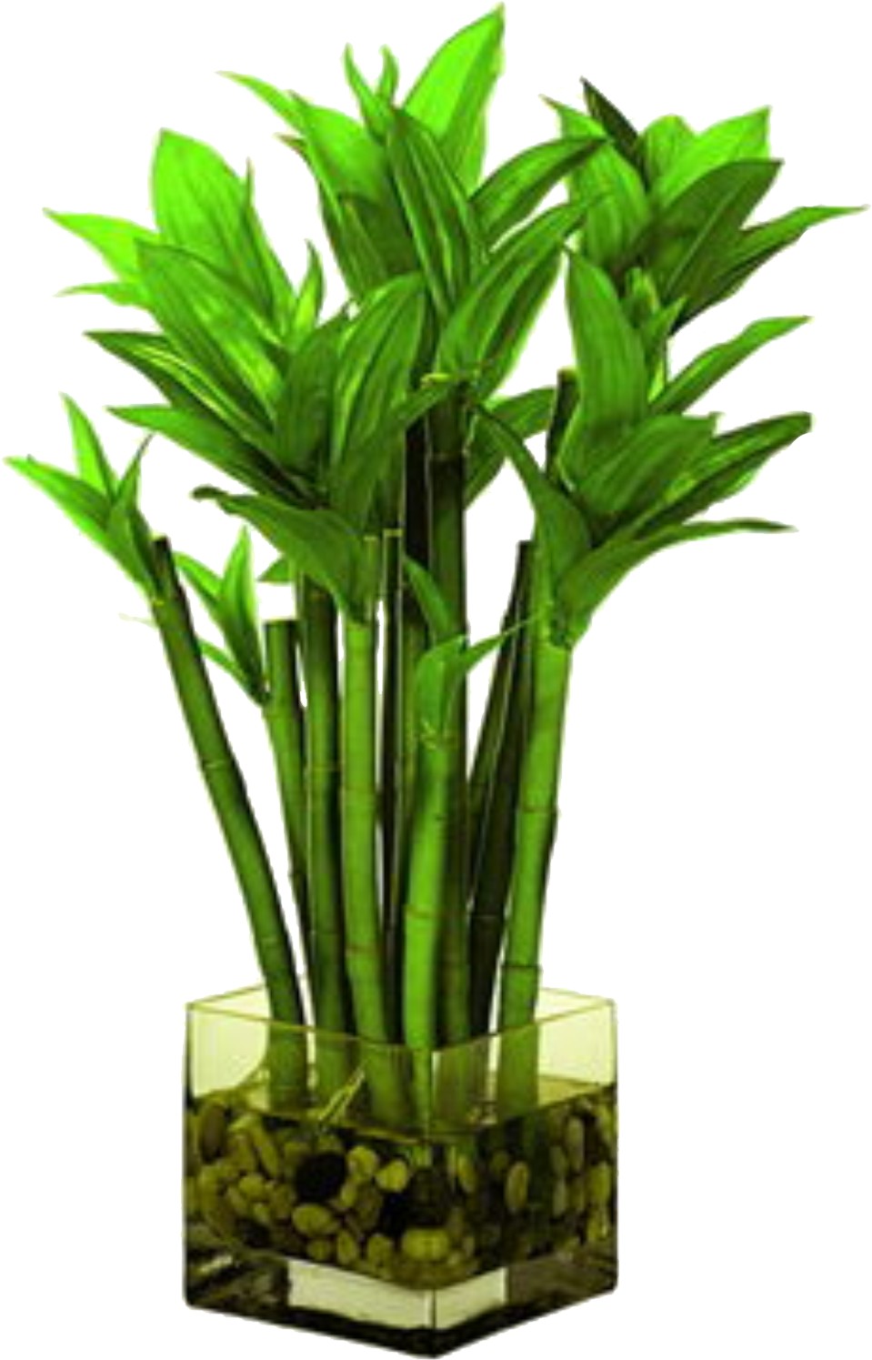 Bamboo Artifiacl Plants ~ Bamboo Craft Photo
