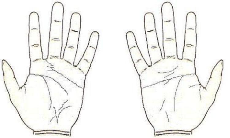 Facebook Keren Philosophy Of Five Finger Hand