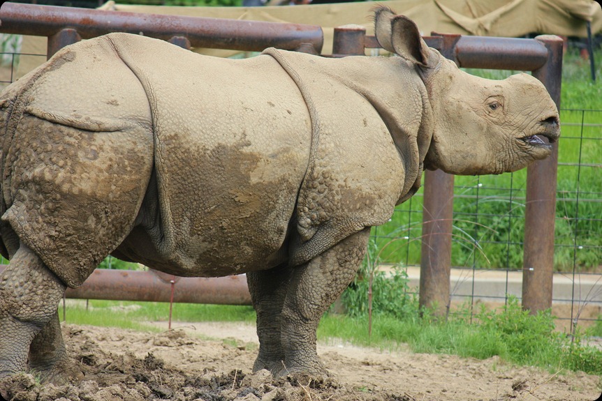 Zoo4 350 Zoo4 350