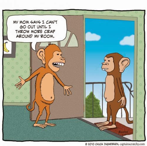 The Monkey House