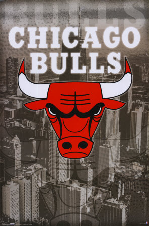 chicago bulls logo upside down. #8 Chicago Bulls