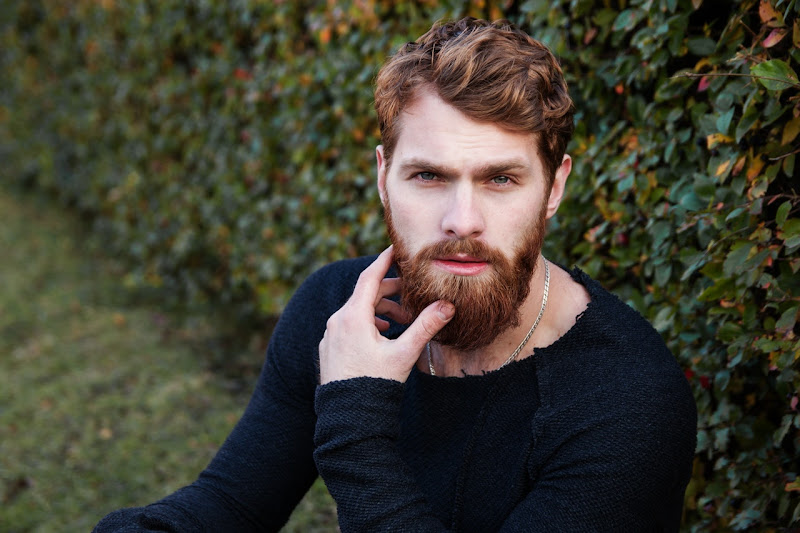 New tricks to take good care of your beard New tricks to take good care of your beard