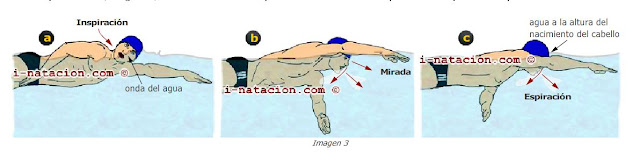 como respirar nadando a croll