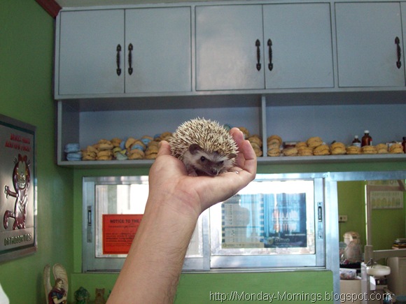 Picture 025