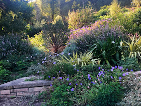 Visite du jardin botanique de San Francisco