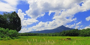 Bukit Tiong Kandang