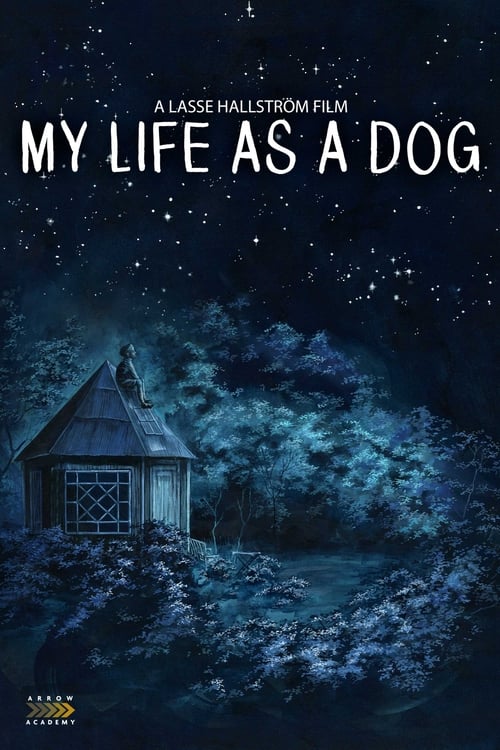 [HD] Mi vida como un perro 1985 Pelicula Completa En Castellano