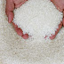 Rice: a Concise Info