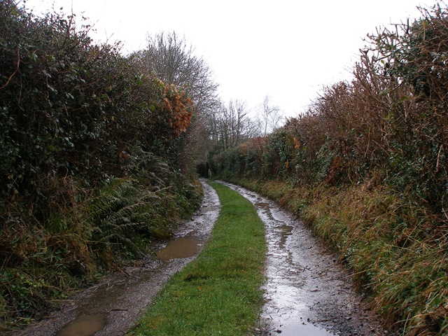 11th_march_08