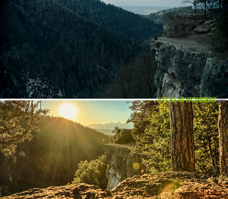 Forest cliff sequence in Poland