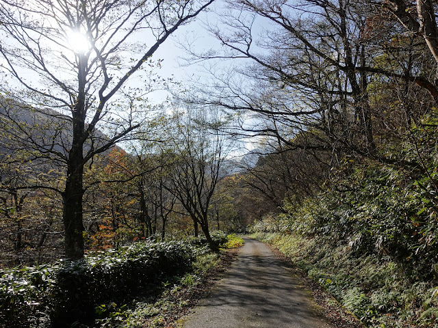 香取の山道