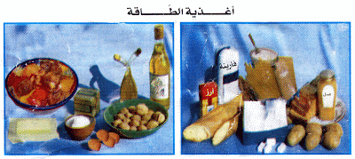 بحث حول الأغذية