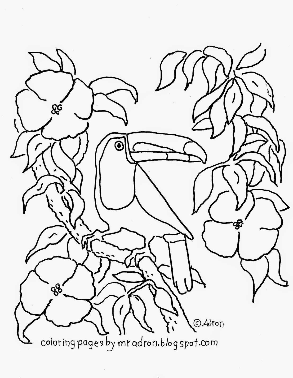 Coloring Pages for Kids by Mr. Adron: Free Printable Toucan Coloring Page