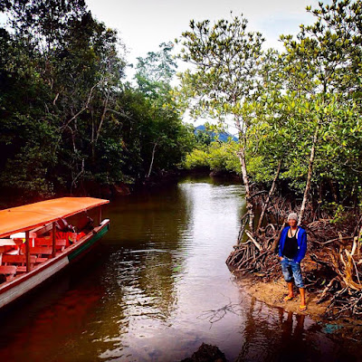 pulau kapo kapo wisata mandeh