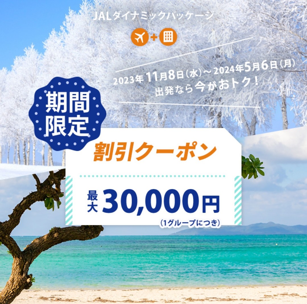 ショッピングJAL クーポン 計30000円分 - ショッピング