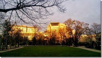DSC_3688_re