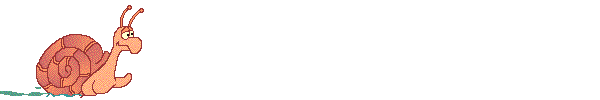 POLIKI