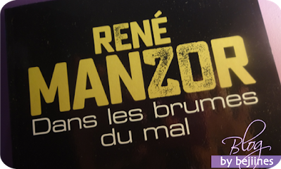 Livre : Dans les brumes du mal - René Manzor