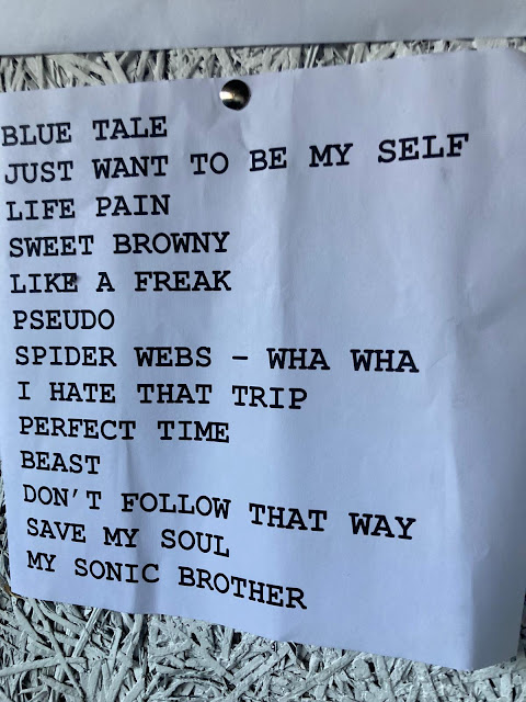 La Secta at San Sebastian Dabadaba Set list
