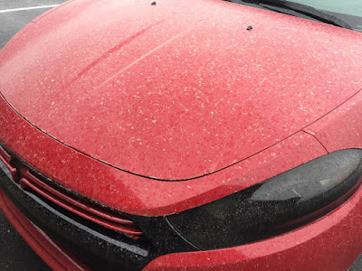 car damaged due to rain