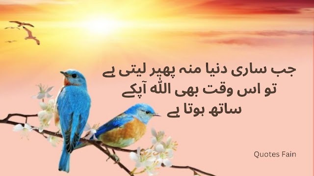 Islamic Urdu Quotes | Top 30 Islamic Urdu Quotes | Islamic Famous Urdu Quotes