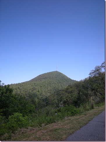 DSCN5120