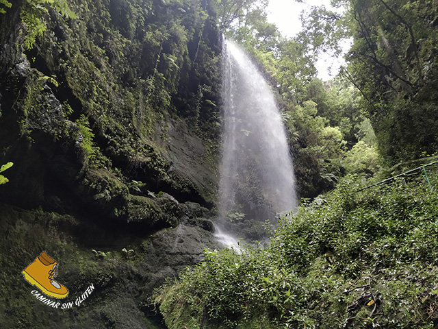 Cascada de los Tilos en Parque Natural de Las Nieves