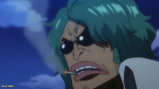 ワンピース アニメ 総集編 大特集 モモの助の名将軍への道 ONE PIECE Special Feature Momonosuke