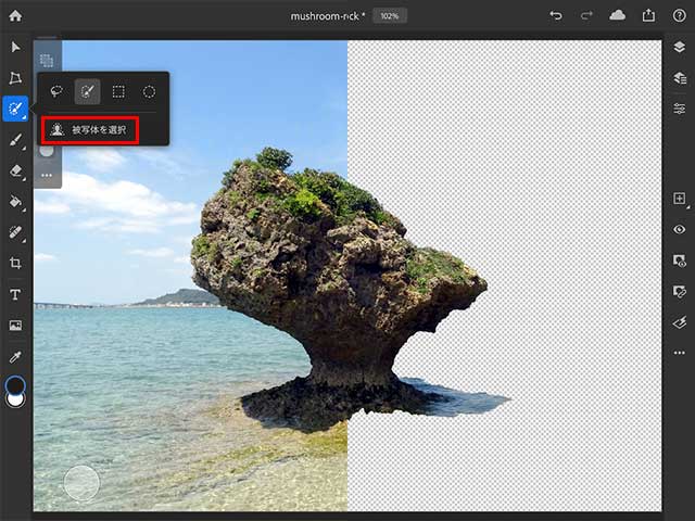 AdobeSenseiがiPadに降臨・被写体を選択