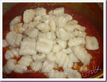 Gnocchi di ricotta in salsa di pomodoro e origano (17)