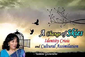 A Change of Skies: Themes of Identity Crisis and Cultural Assimilation