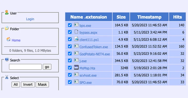 Silent Skimmer: A Year-Long Web Skimming Campaign Targeting Online Payment Businesses