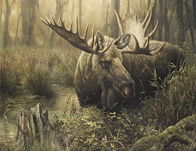 Wildlife Paintings