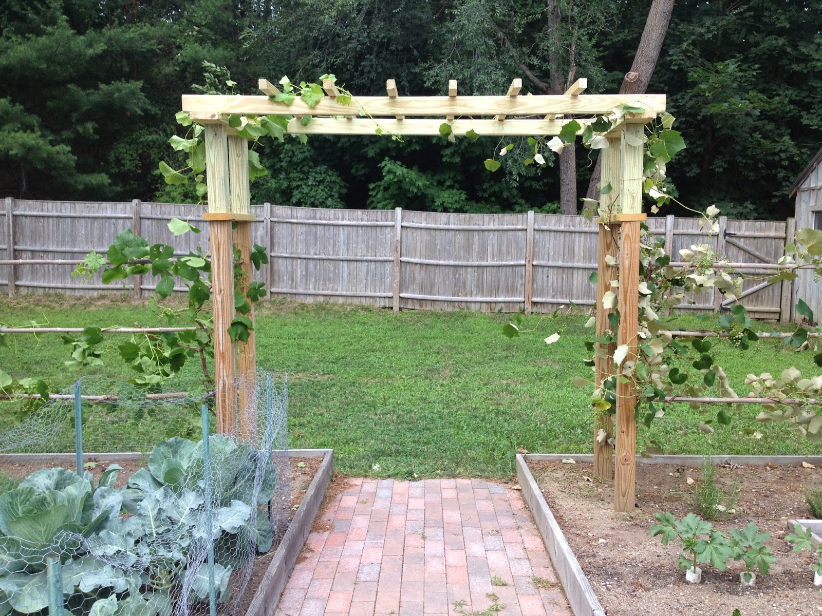  was that the arbor would create a doorway from the garden to the lawn