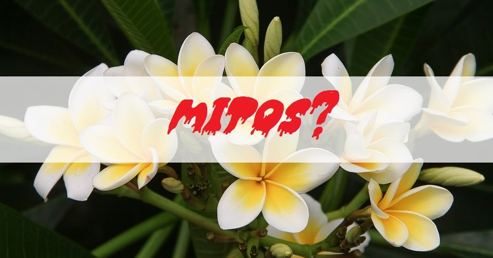 Debunk Mitos Bunga Kamboja  Wangi di Malam Hari Ayo 
