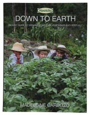 Down to Earth cover2-11