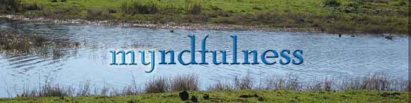 myndfulness