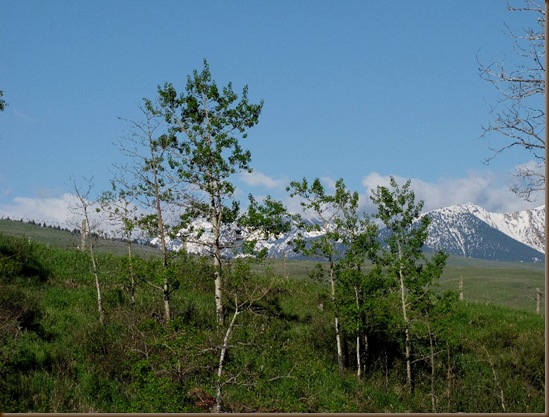 view