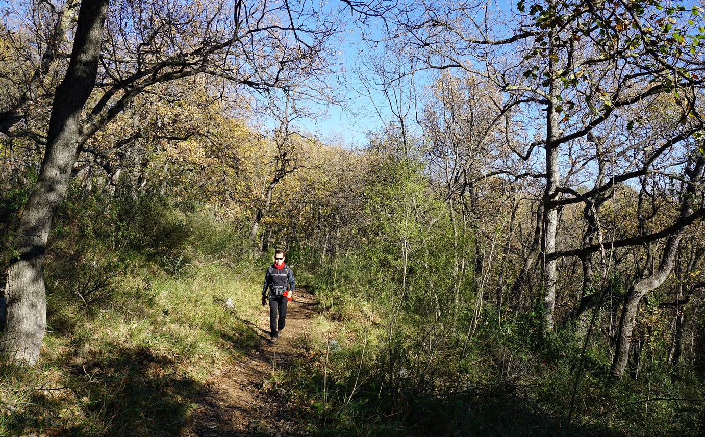 Approaching Camp Romain