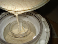 Pouring the ice milk mixture into the ice cream maker