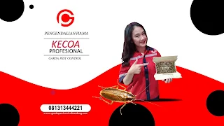 Solusi Pest Control Bandung