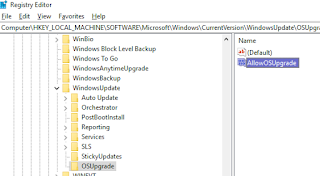 Allow-OS-Upgrade-Registry-Key-for-Windows-10.png