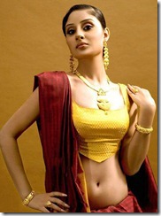 bhanu sri mehra hot stills