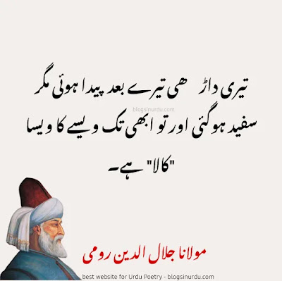 Molana Rumi Quotes