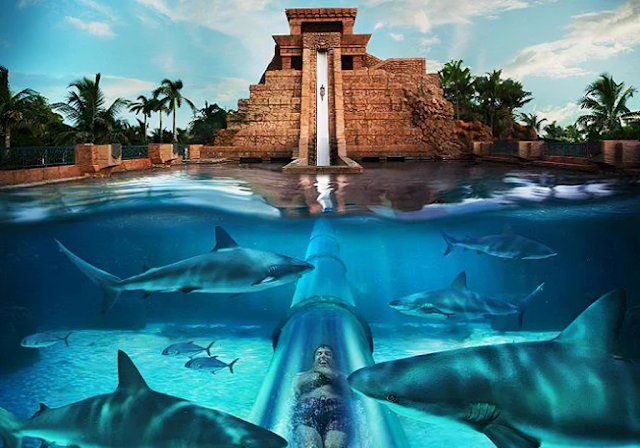 Leap of Faith Water slides