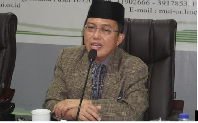 MUI: Kerja Keras 10 Bulan Dihancurkan Kegiatan Kerumunan