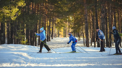 Skijaško trčanje može se izvoditi pomoću tri stila