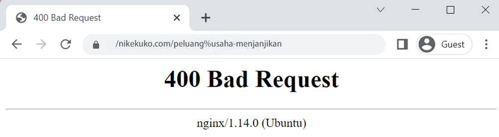 400 client error bad request